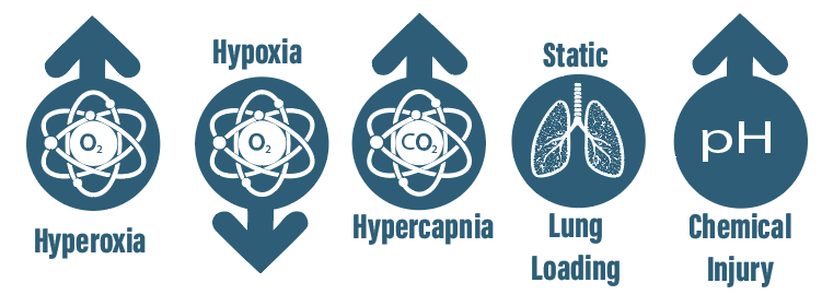 CCR Risks